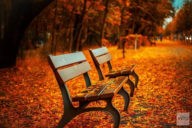 Herfstachtig weer zet door