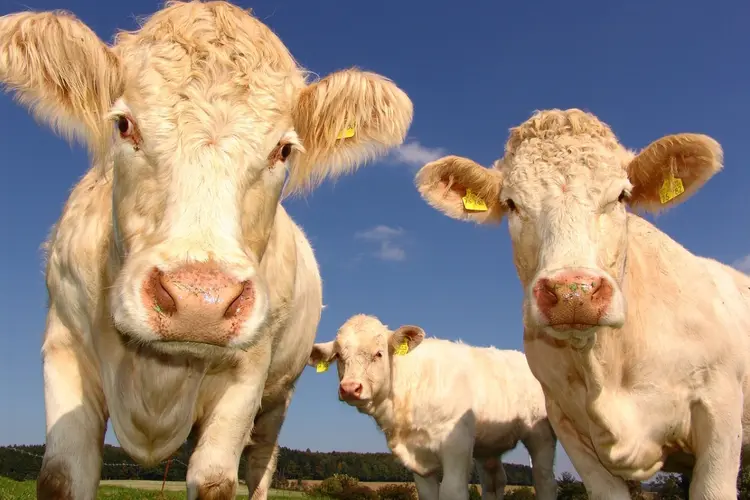 Met elkaar vooruit naar een rijke Greidhoeke voor mens en natuur